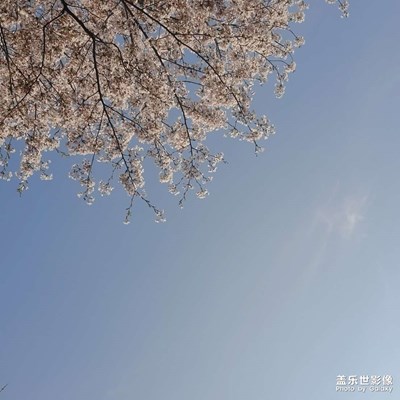 風(fēng)和日麗
