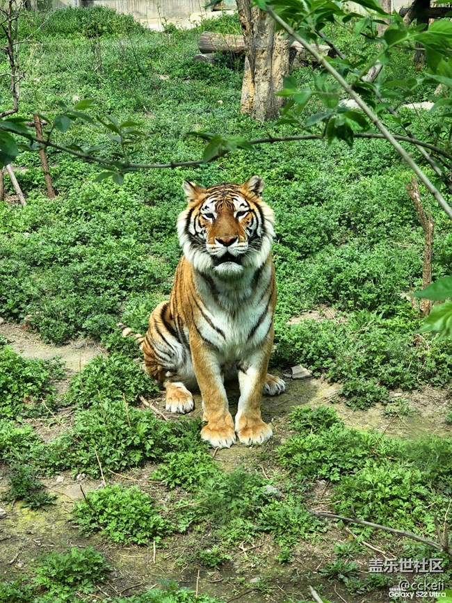 休息一天 帶孩子動物園轉一圈。