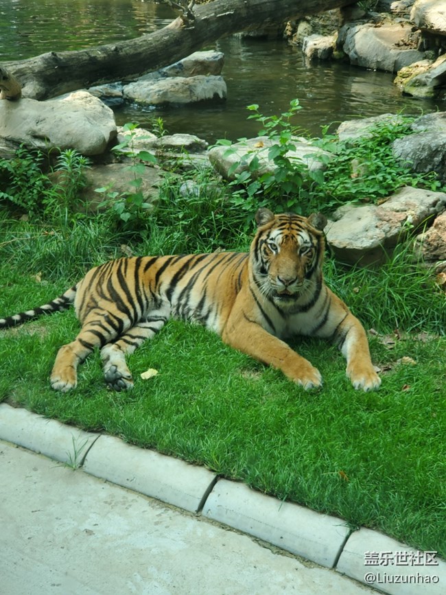 【可愛的它】+小動物們