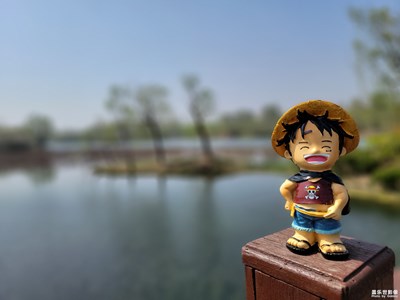 【日常隨拍】帶著路飛去踏青