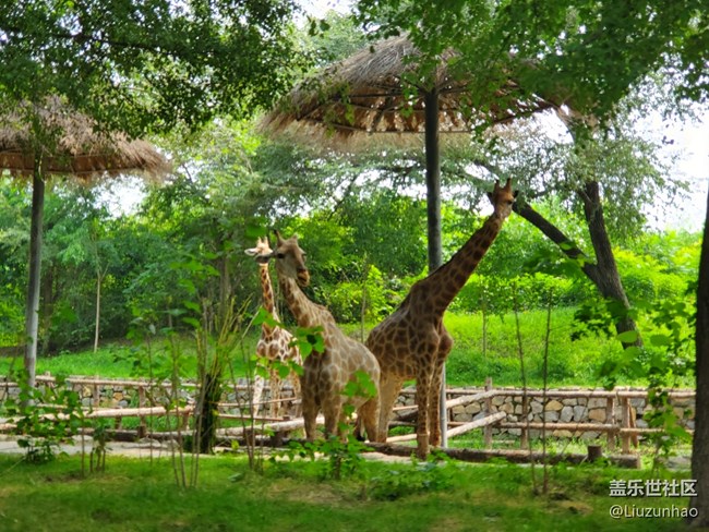 【可愛的它】+小動物們