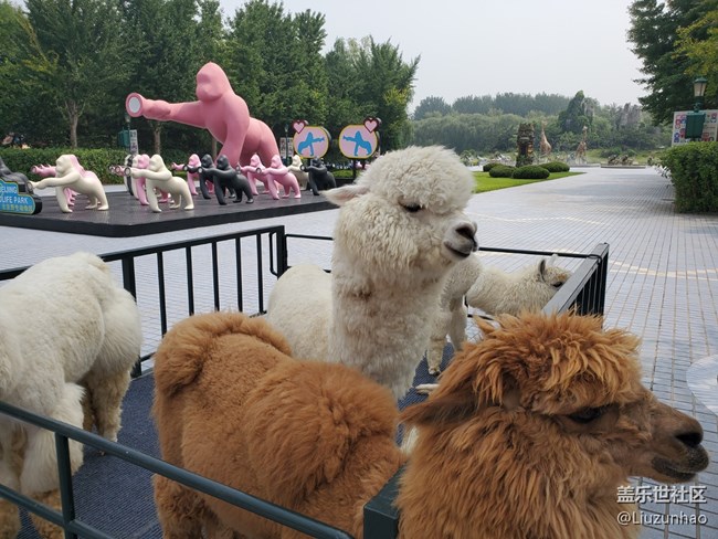 【可愛的它】+小動物們