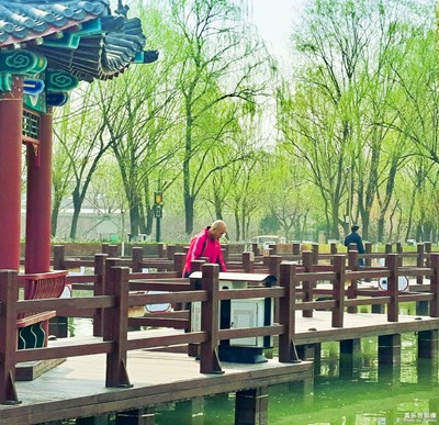 已開獎【蓋樂世影像周賽第237期】——四月物語