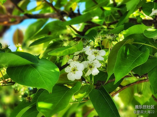 #春天來了——綠意盎然