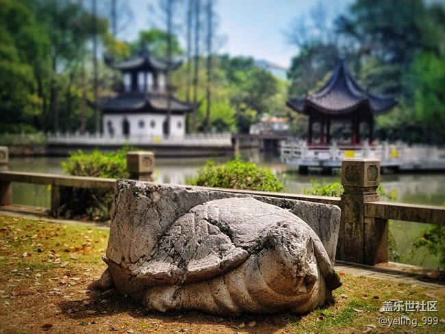 #春天來了——匯龍?zhí)? title=