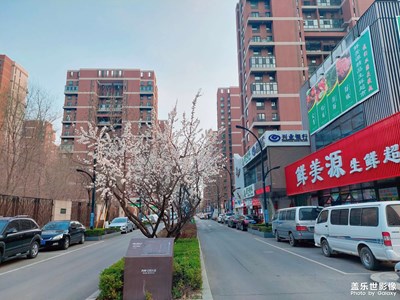 春天