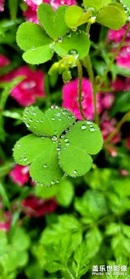 春雨過后。。。