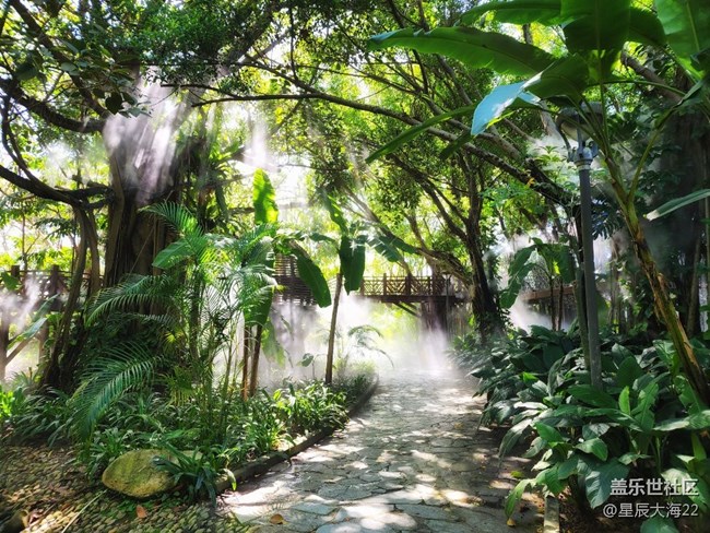 #春天來了——綠意盎然