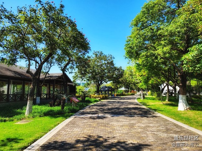 #春天來了——綠意盎然