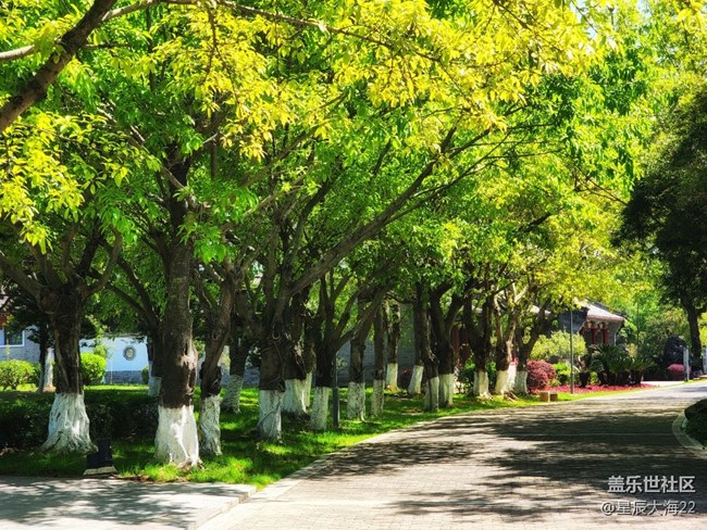 #春天來了——綠意盎然