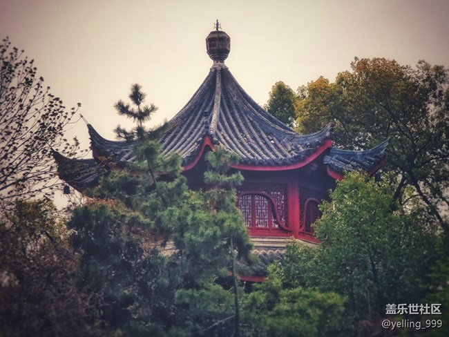 #春天來了——匯龍?zhí)? title=