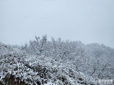 驟降大雪