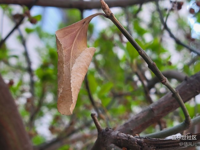 【S系列風(fēng)采】+新舊交替