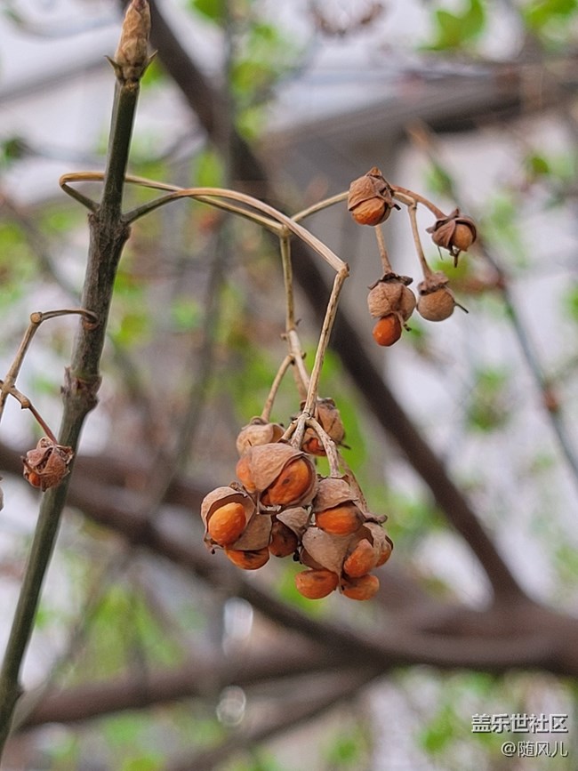 【S系列風(fēng)采】+新舊交替