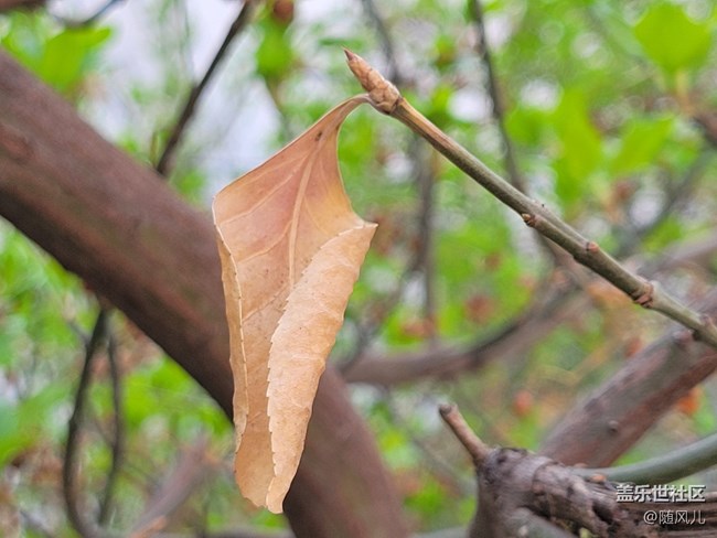 【S系列風(fēng)采】+新舊交替