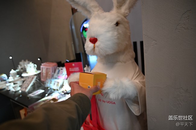 三星S22好奇女孩愛麗絲夢游仙境打卡：打開兔子洞