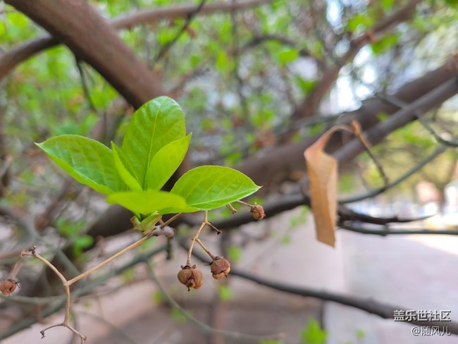 【S系列風(fēng)采】+新舊交替