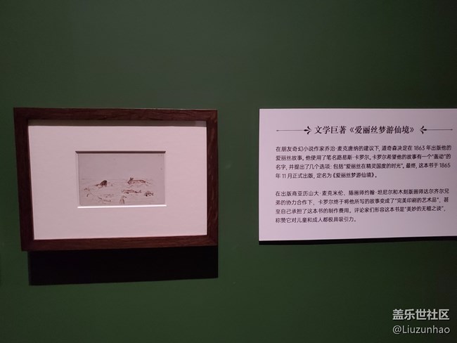 三星S22好奇女孩愛麗絲打卡+穿越夢游仙境