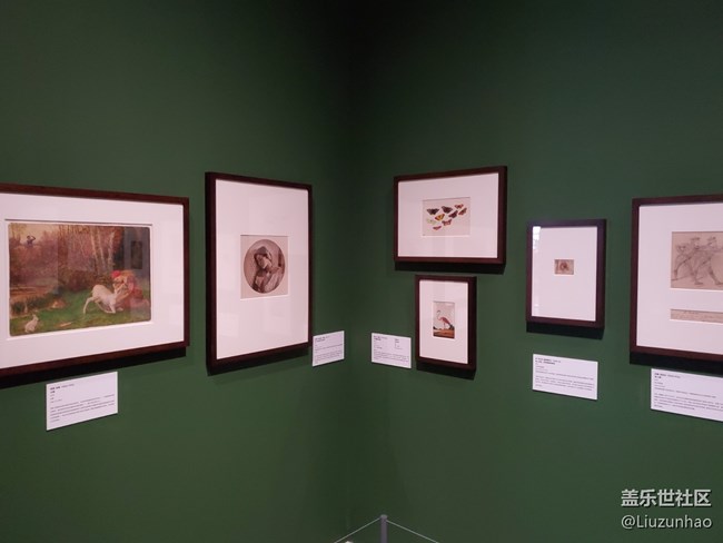 三星S22好奇女孩愛麗絲打卡+穿越夢游仙境