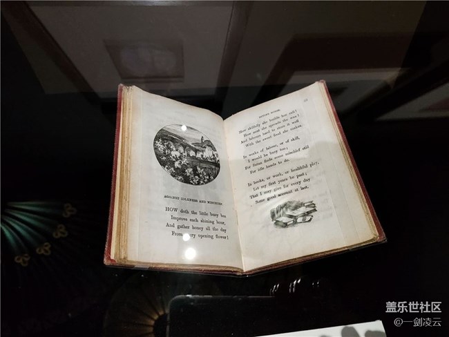 三星S22好奇女孩愛麗絲打卡——洗滌心靈的夢(mèng)幻之旅