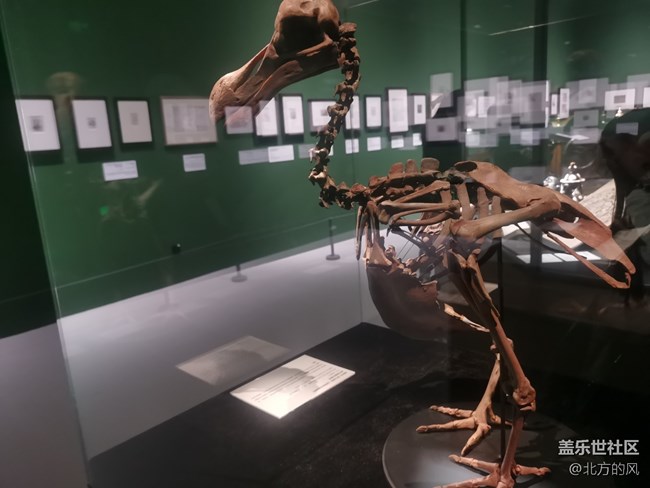 三星S22愛麗絲夢游仙境打卡---活動記錄