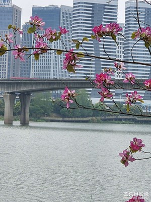 錦上添花