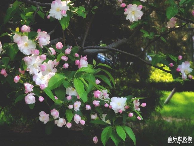 《每周星鮮事》 第101期:隨手拍好春光 抽取春日好禮