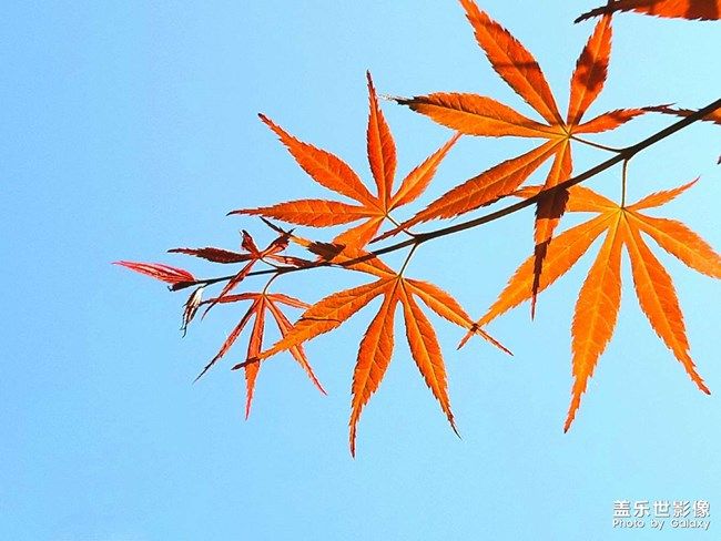 《每周星鮮事》 第101期:隨手拍好春光 抽取春日好禮