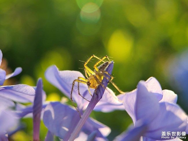 《每周星鮮事》 第101期:隨手拍好春光 抽取春日好禮