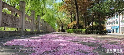 秦嶺洛南