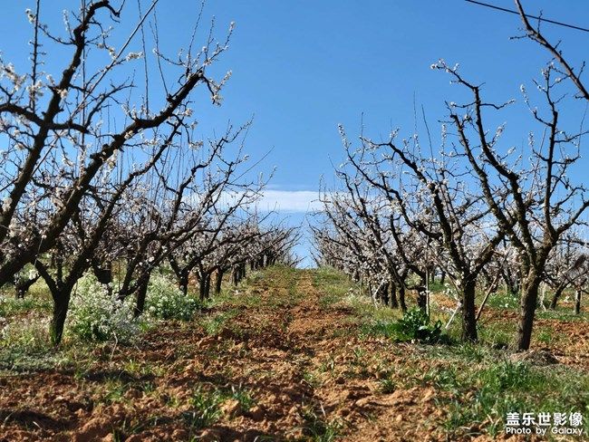 《每周星鮮事》 第101期:隨手拍好春光 抽取春日好禮