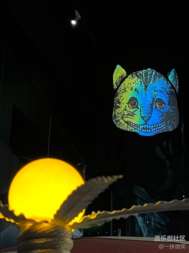 三星S22好奇女孩愛麗絲打卡