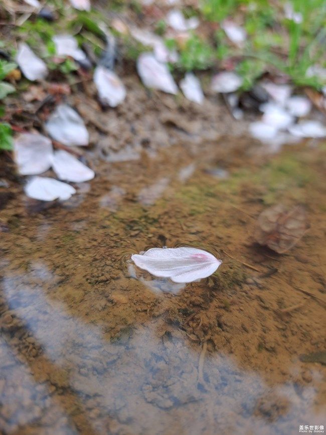 《每周星鮮事》 第101期:隨手拍好春光 抽取春日好禮