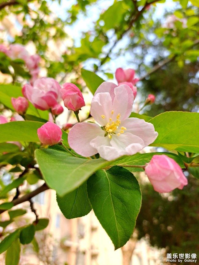 《每周星鮮事》 第101期:隨手拍好春光 抽取春日好禮