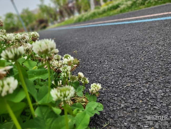 剛買的flip3，一直沒有機(jī)會(huì)試試相機(jī)功能。