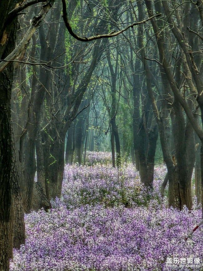 《每周星鮮事》 第101期:隨手拍好春光 抽取春日好禮
