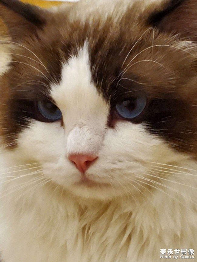 《每周星鮮事》 第101期:隨手拍好春光 抽取春日好禮