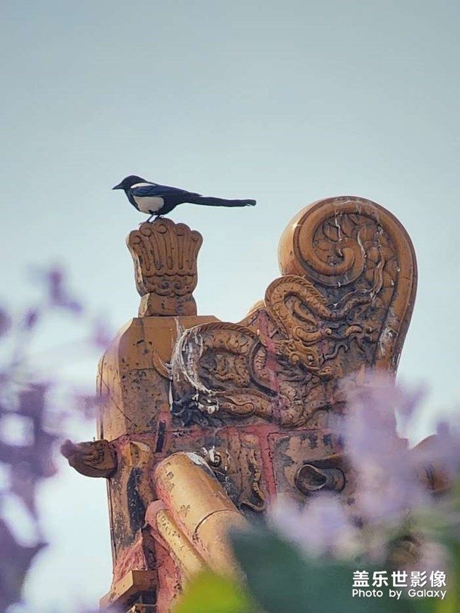 《每周星鮮事》 第101期:隨手拍好春光 抽取春日好禮