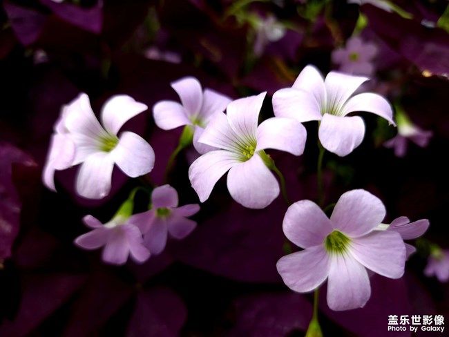 《每周星鮮事》 第101期:隨手拍好春光 抽取春日好禮