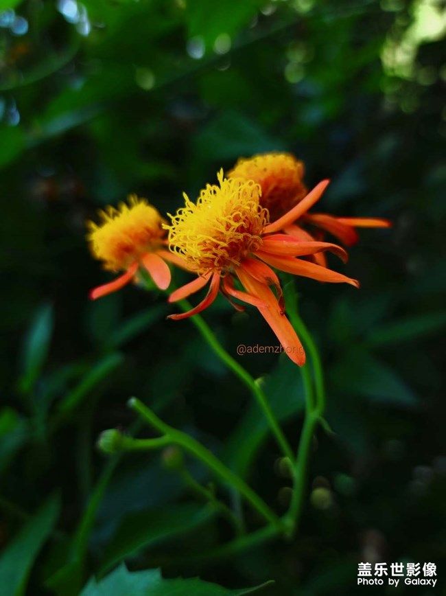 《每周星鮮事》 第101期:隨手拍好春光 抽取春日好禮