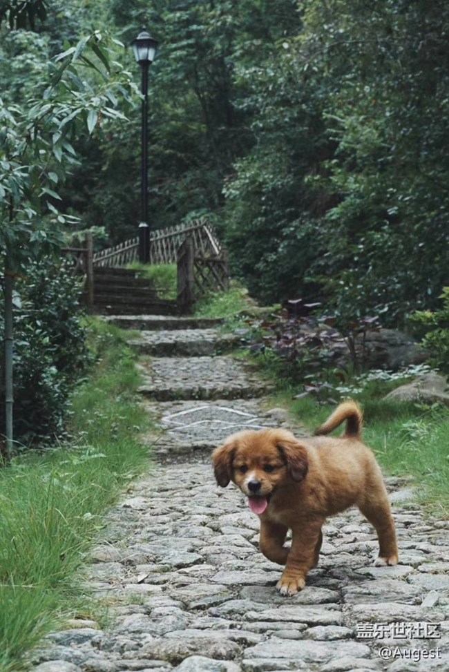 【武漢的春】青龍山郊游