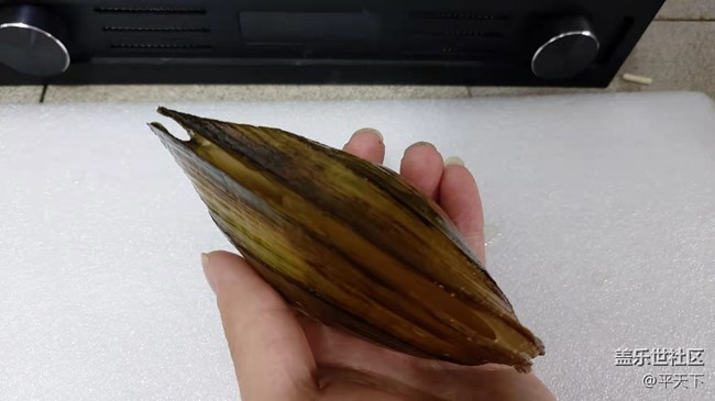 【可愛的它】河蚌靜享安逸舒適的生活