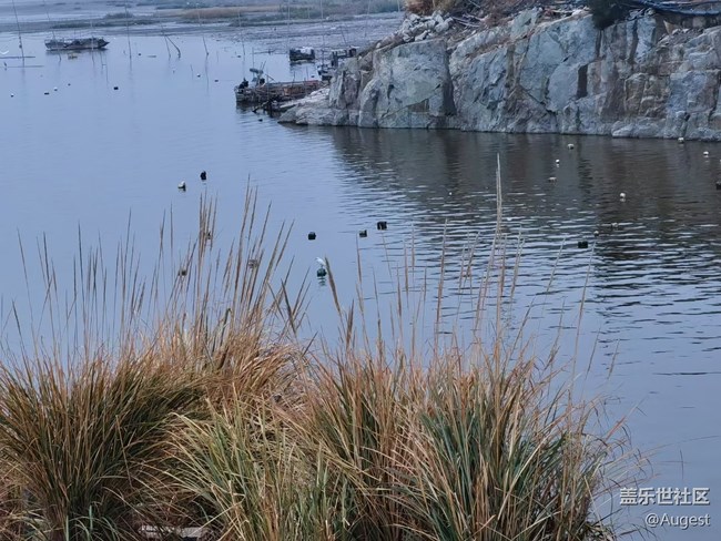 【武漢的春】青龍山郊游