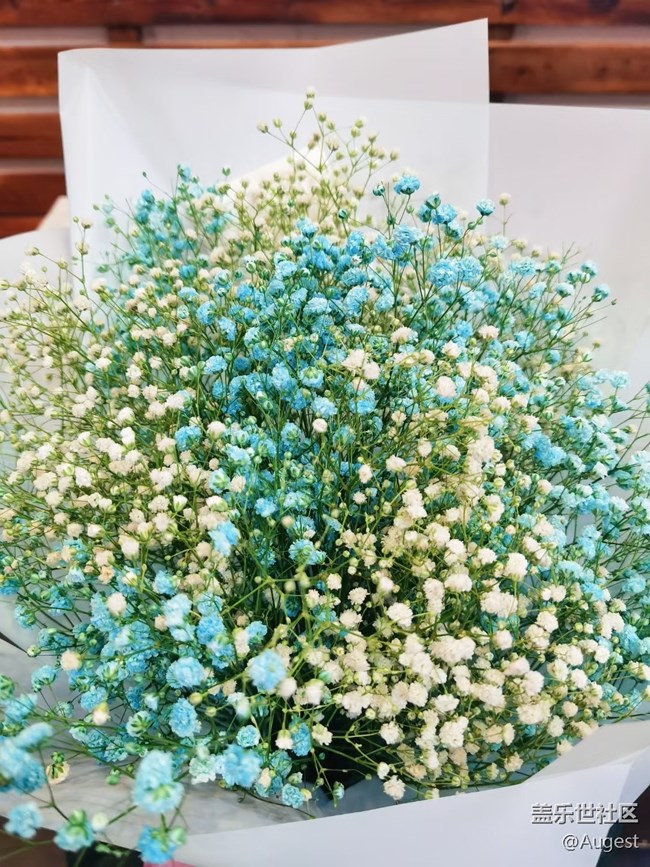 【武漢的春】青龍山郊游