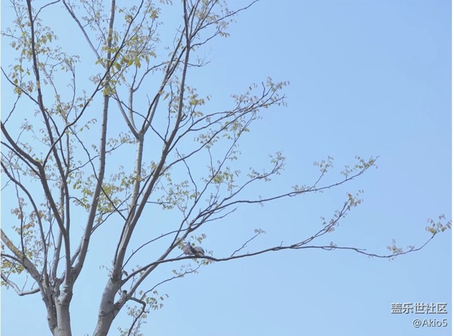 【武漢的春】熱起來了