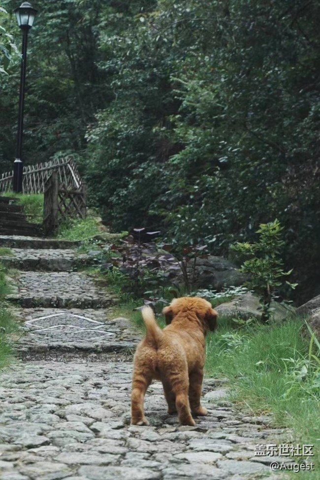 【武漢的春】青龍山郊游