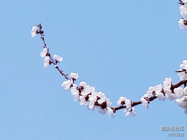 青蔥的春色+春分時(shí)節(jié)桃花開(kāi)開(kāi)