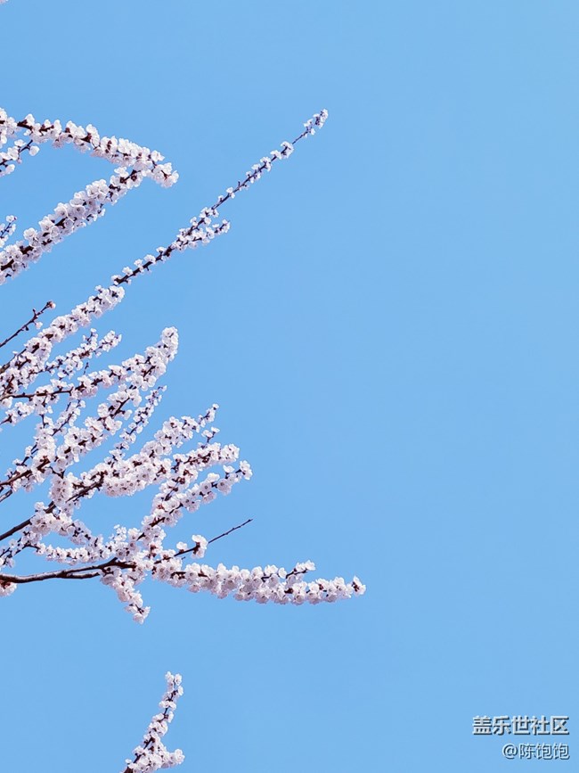 青蔥的春色+春分時(shí)節(jié)桃花開(kāi)開(kāi)