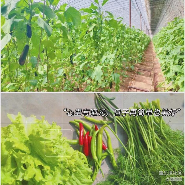 【春分時(shí)節(jié)】一些春天的味道