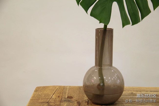 春分時節(jié)+瓶子里的花和葉